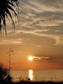 Sunrise from the balcony âšïž