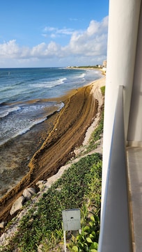 Piles of stinky seaweed lining the beah