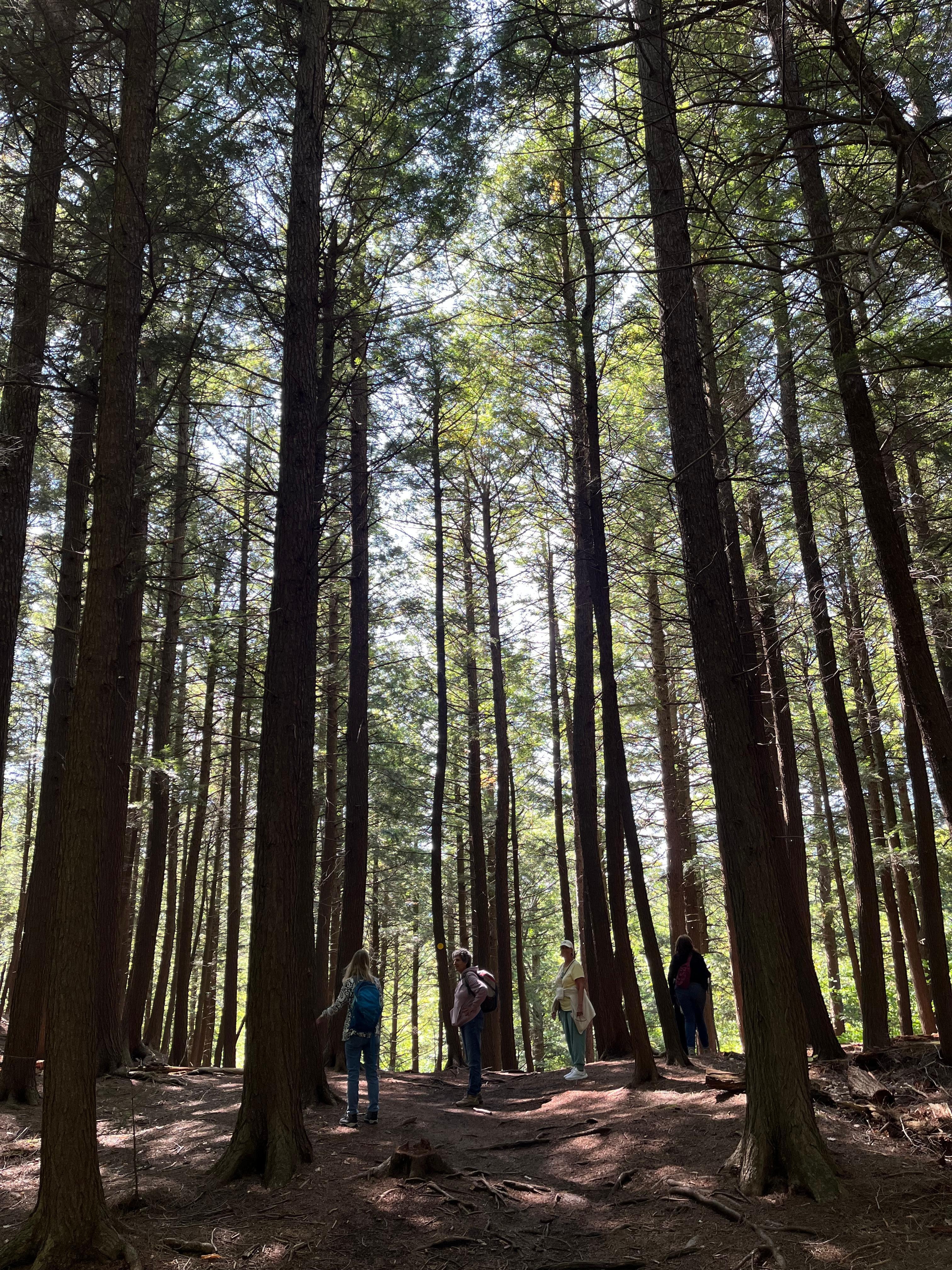 Hiking at High Falls Gorge