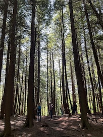 Hiking at High Falls Gorge