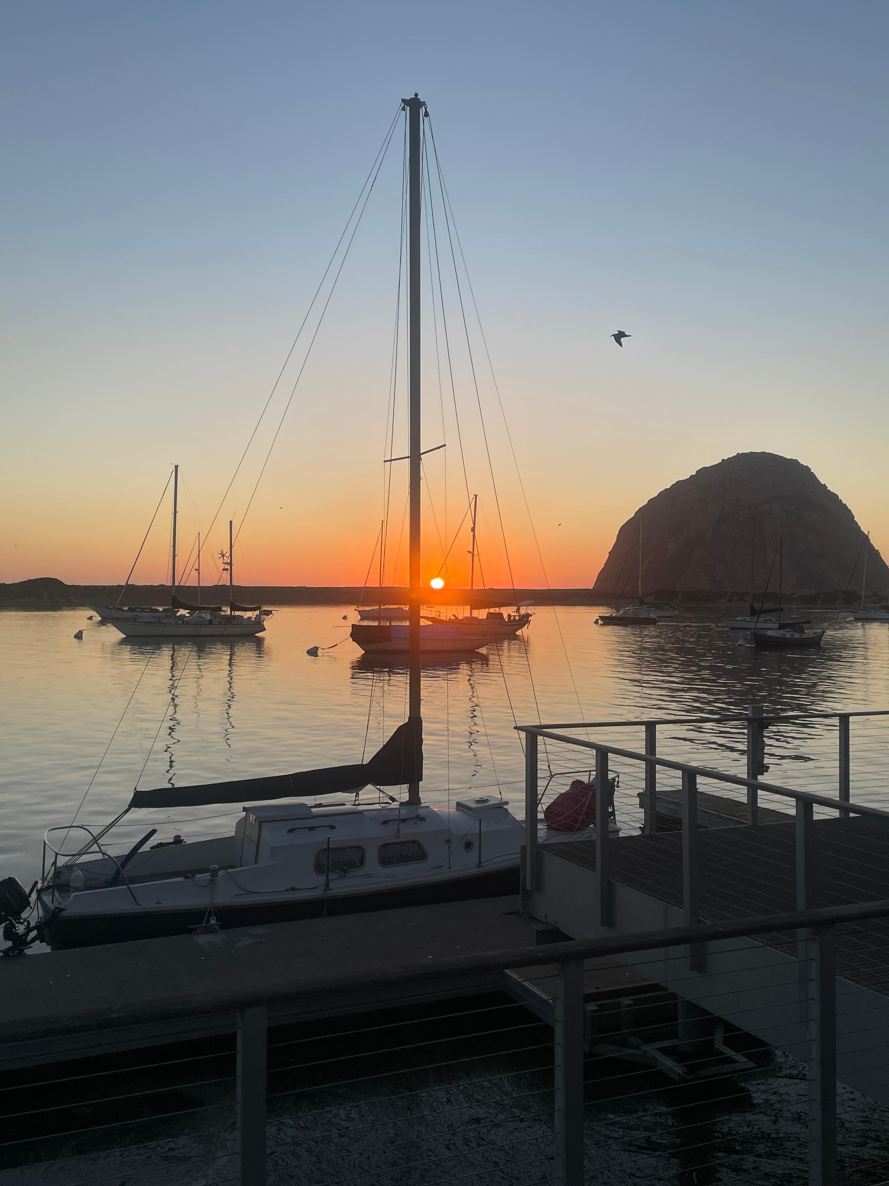 View from the driveway 