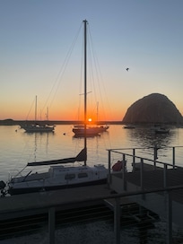 View from the driveway