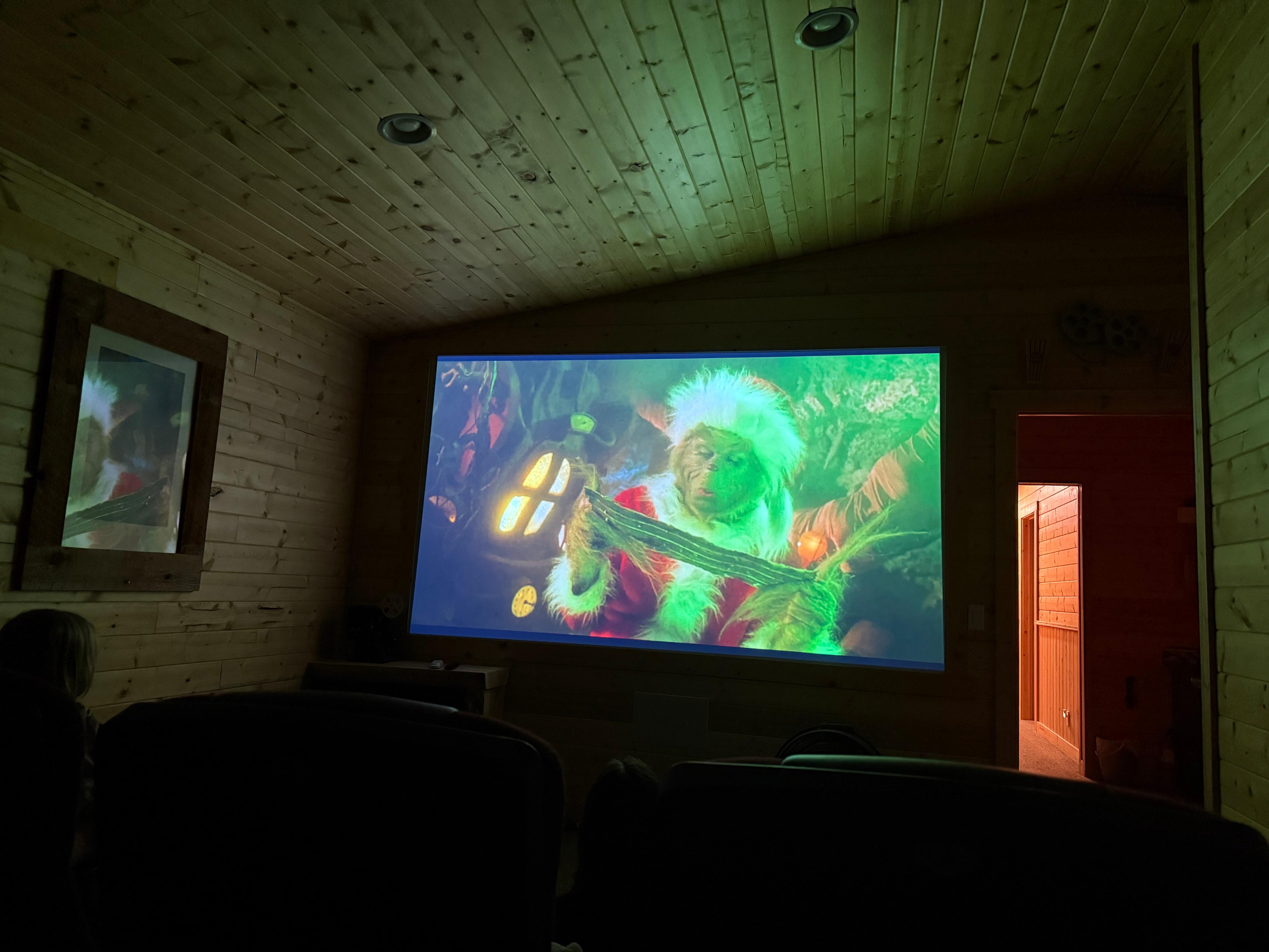 Family movie night in the theatre room