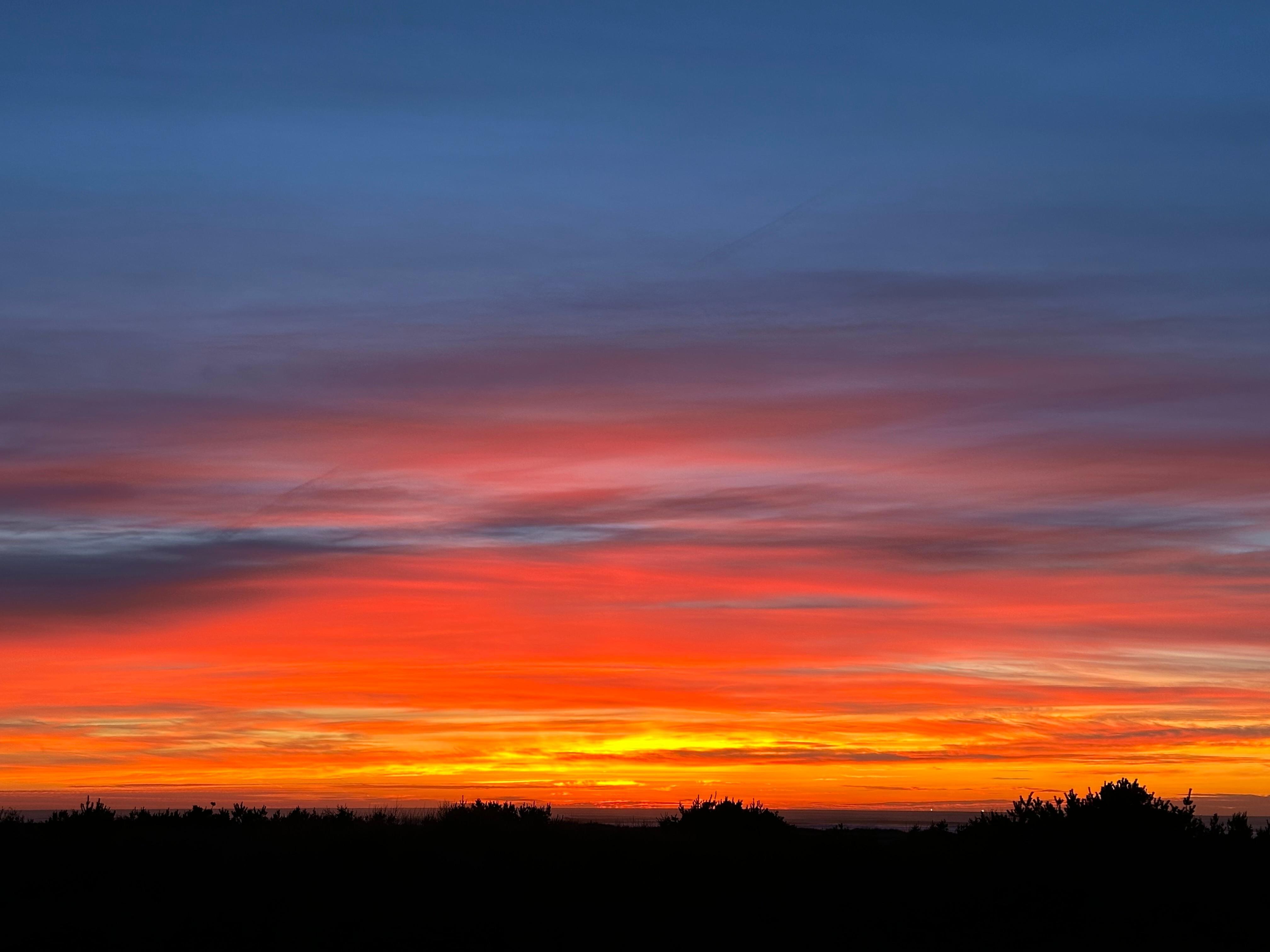 View from my balcony 