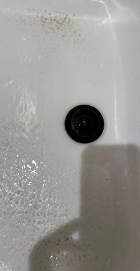 Looks like mold on tub floors after cleaning up flies. These are just a few pictures. Not impressed with cleaning service