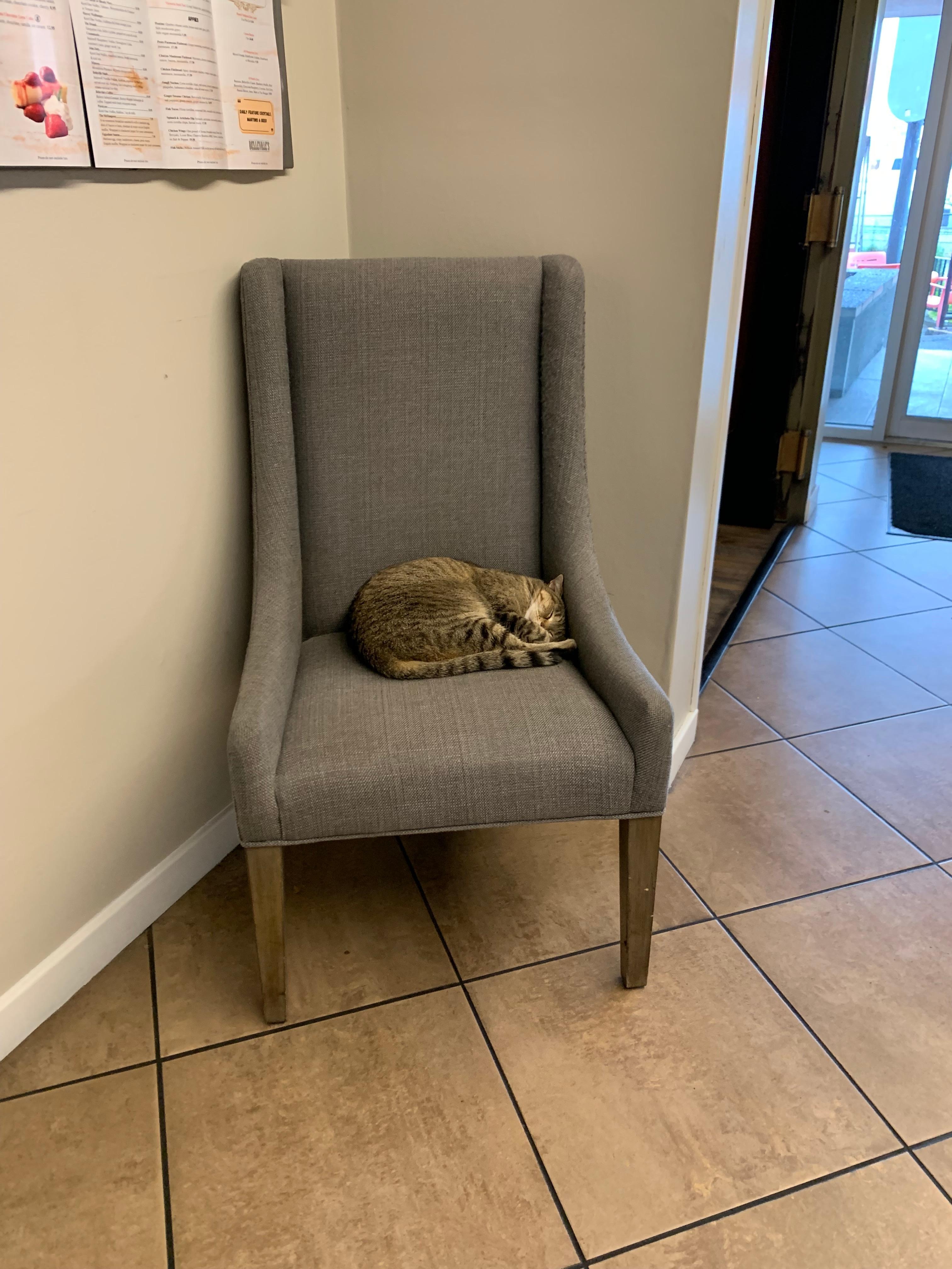 Even the neighborhood cat finds it a comfortable place for a nap.