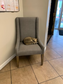 Even the neighborhood cat finds it a comfortable place for a nap.