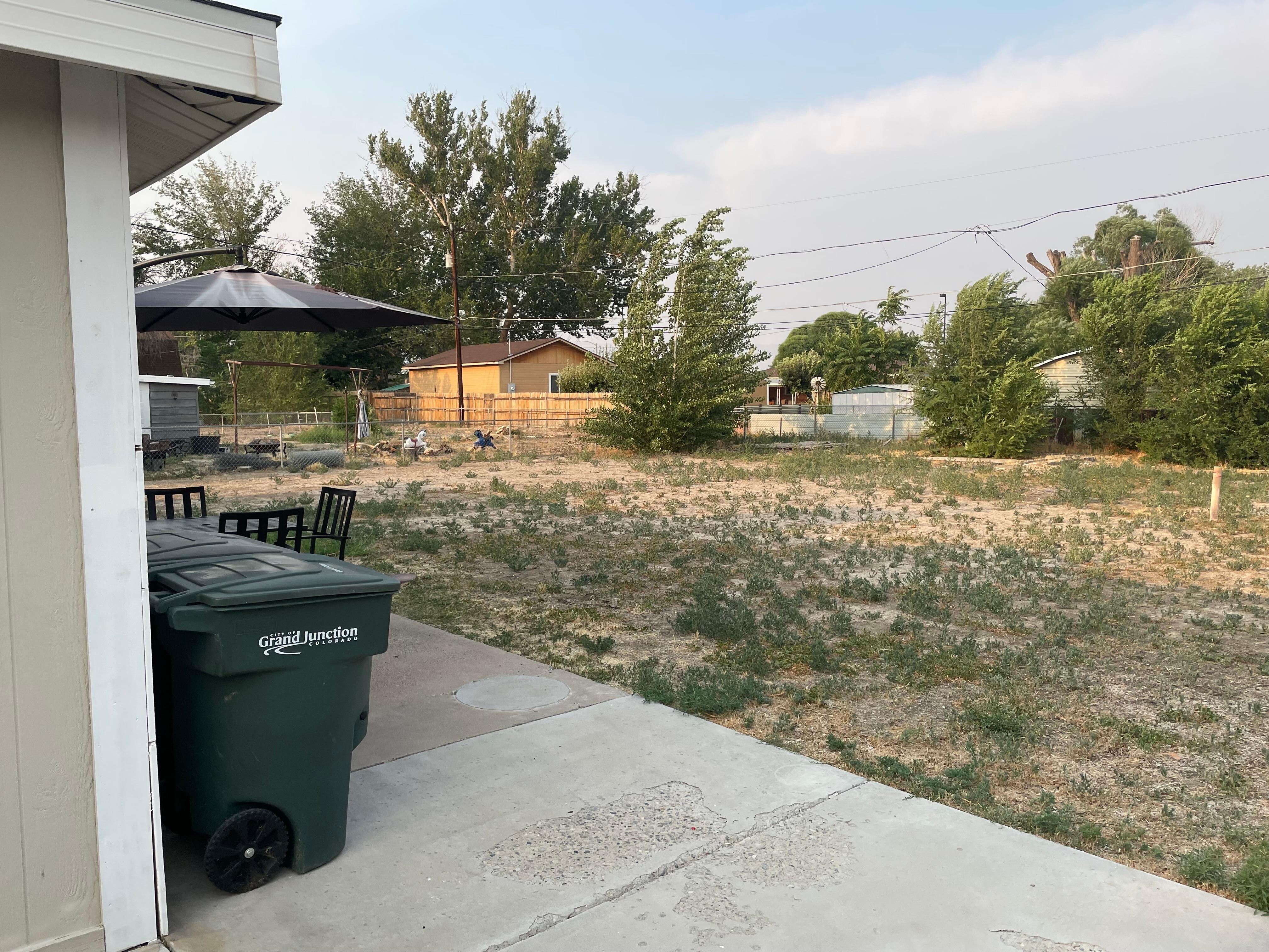 Back yard