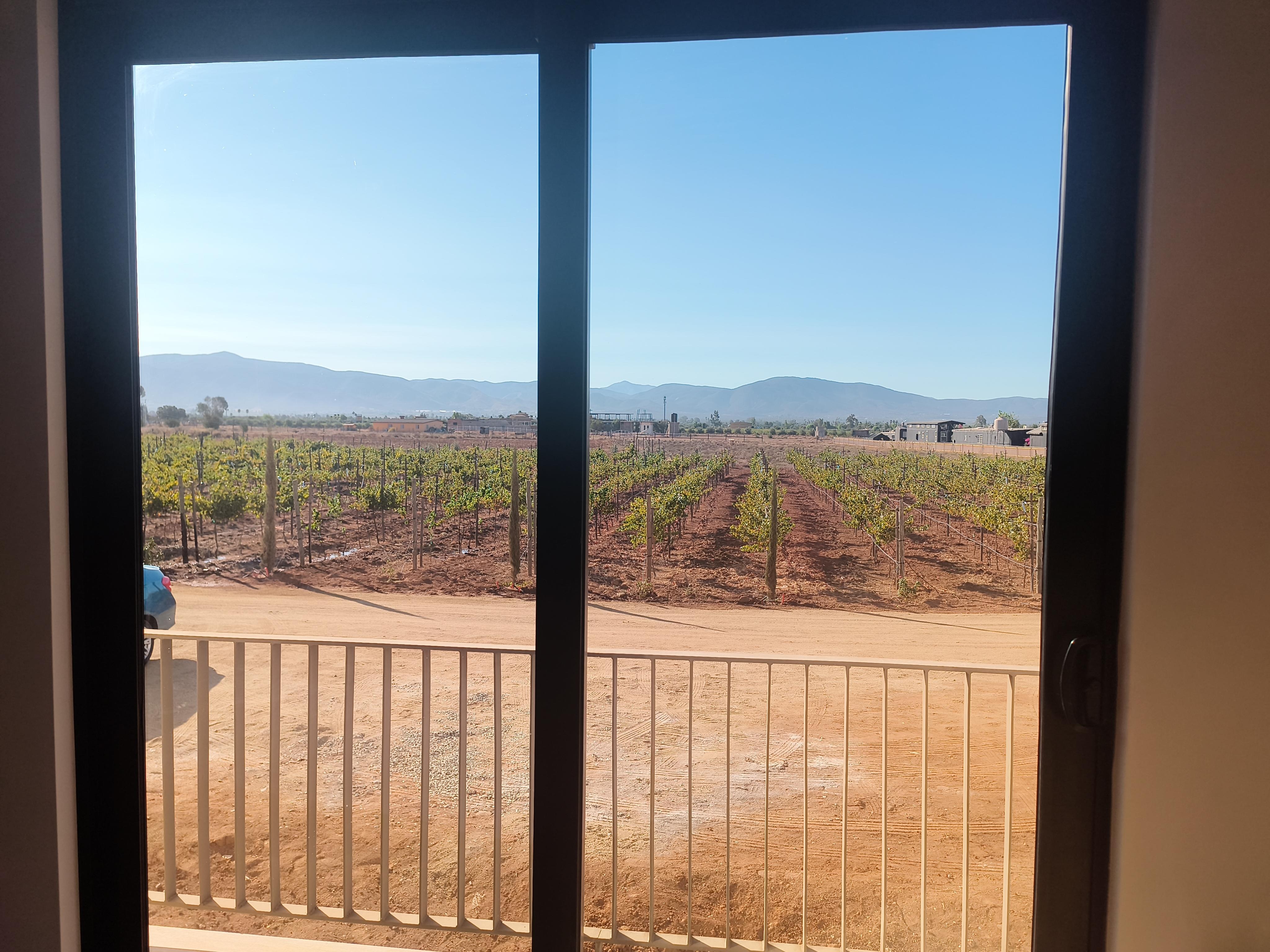 The view from my room