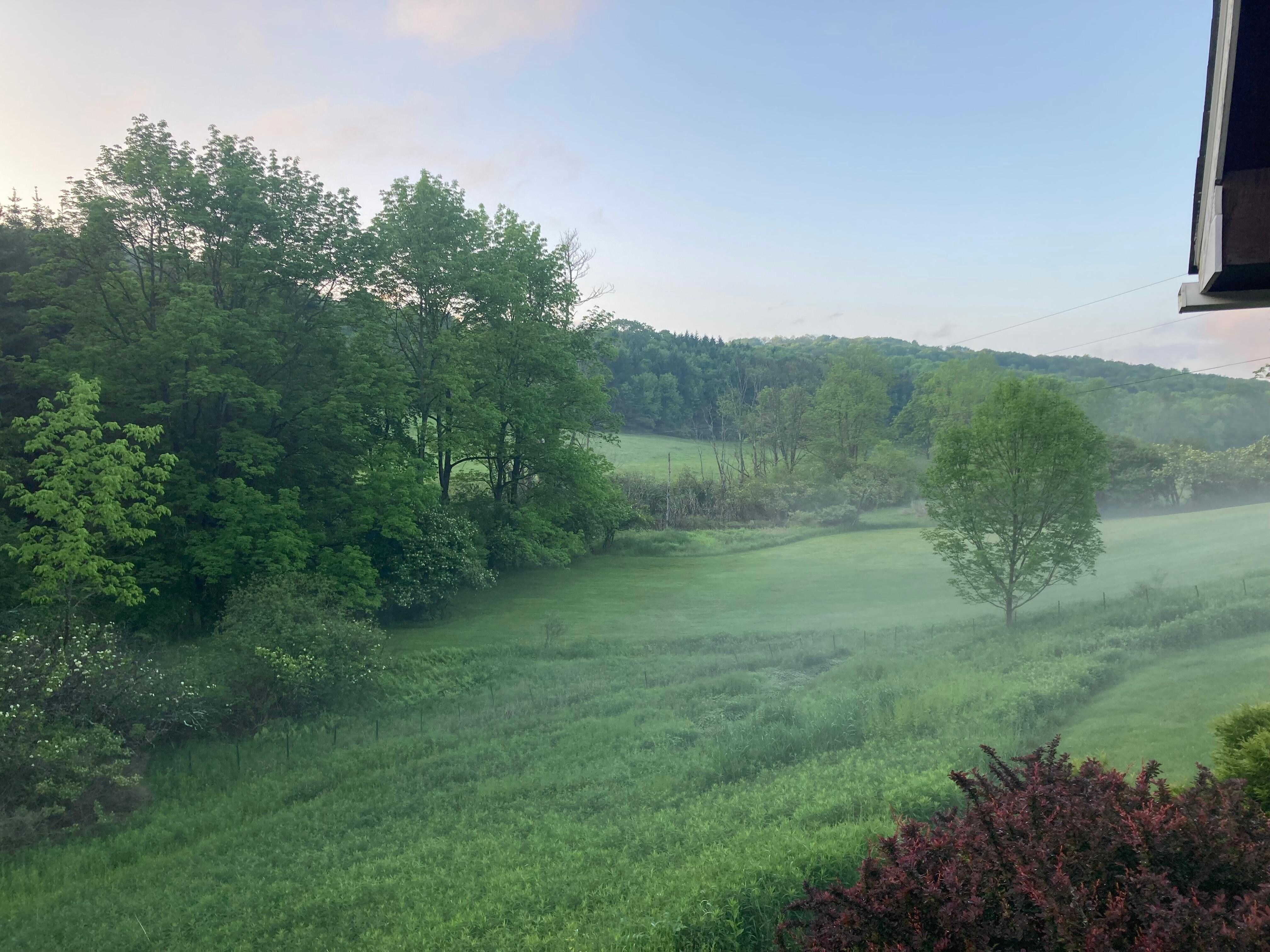 View from the back deck