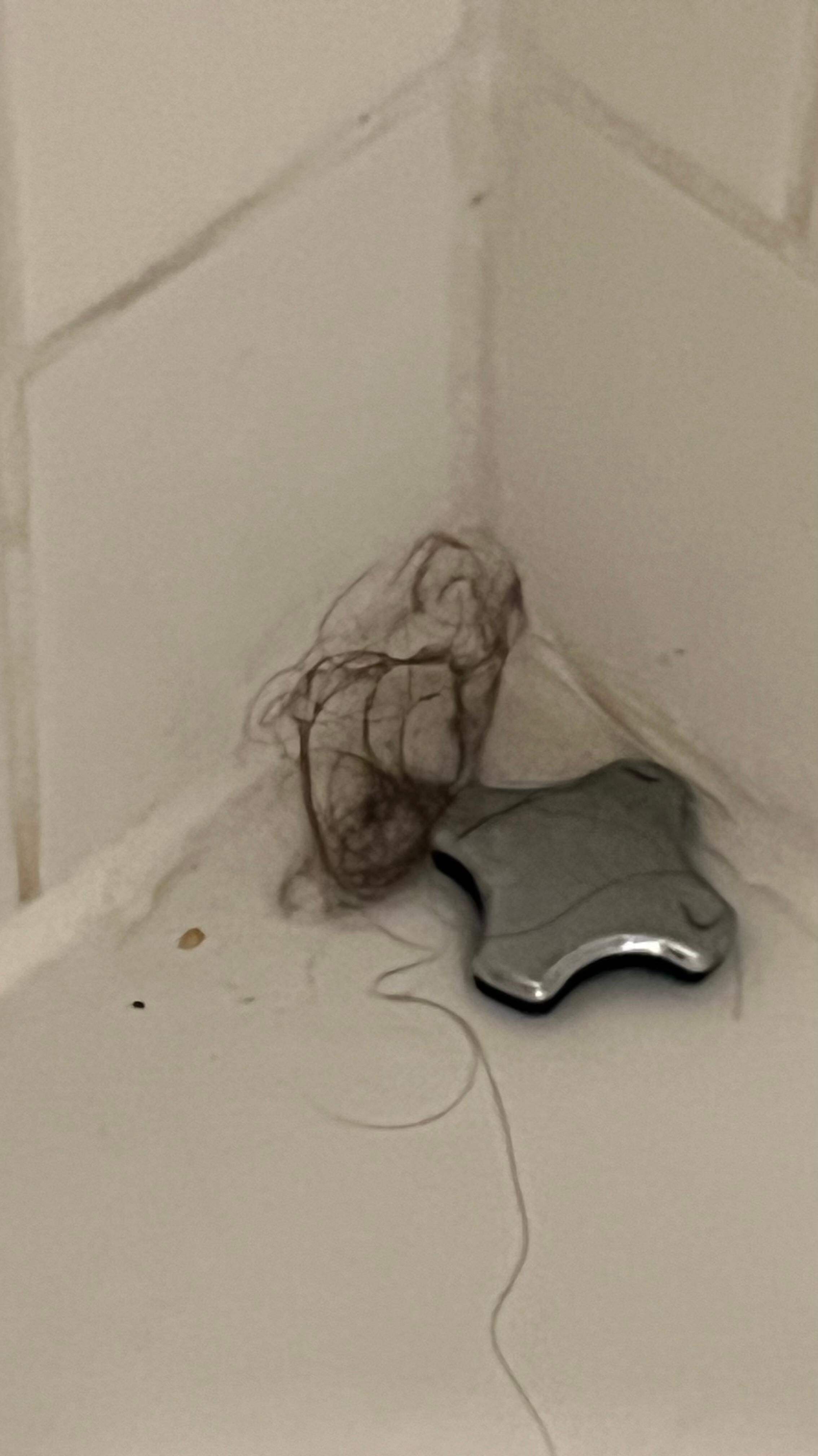 Hair from tub
