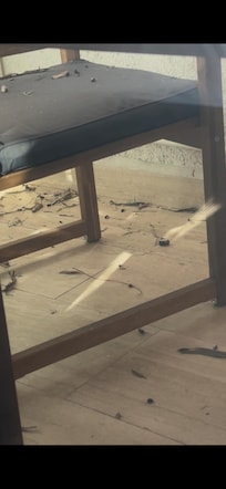 Bird nest materials/debris in the balcony