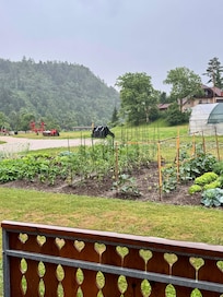 Farm out back