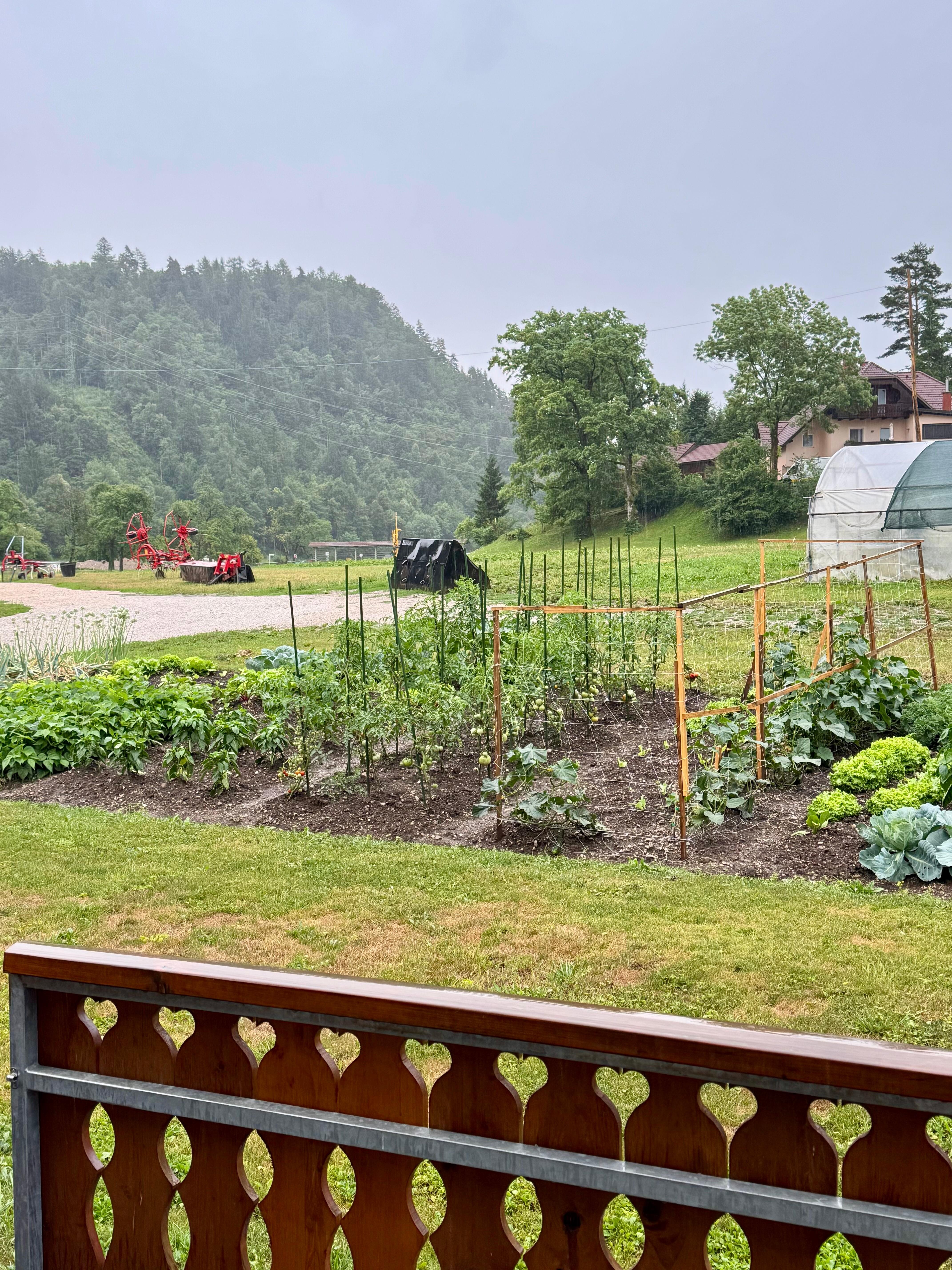 Farm out back
