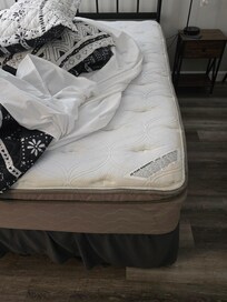 Mattress stain but no Mattress cover