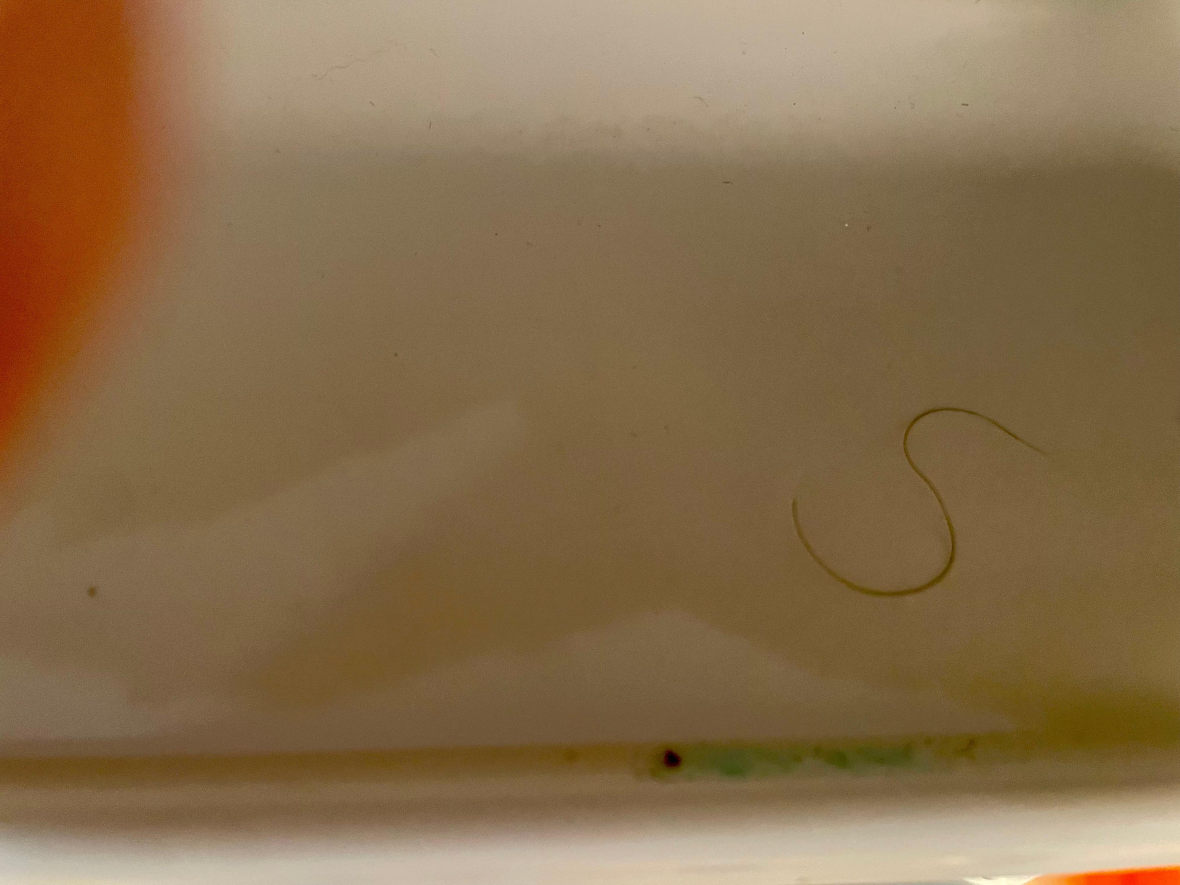 A long hair in the butter dish of the refrigerator.