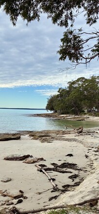 Collingwood Beach 2 mins walk