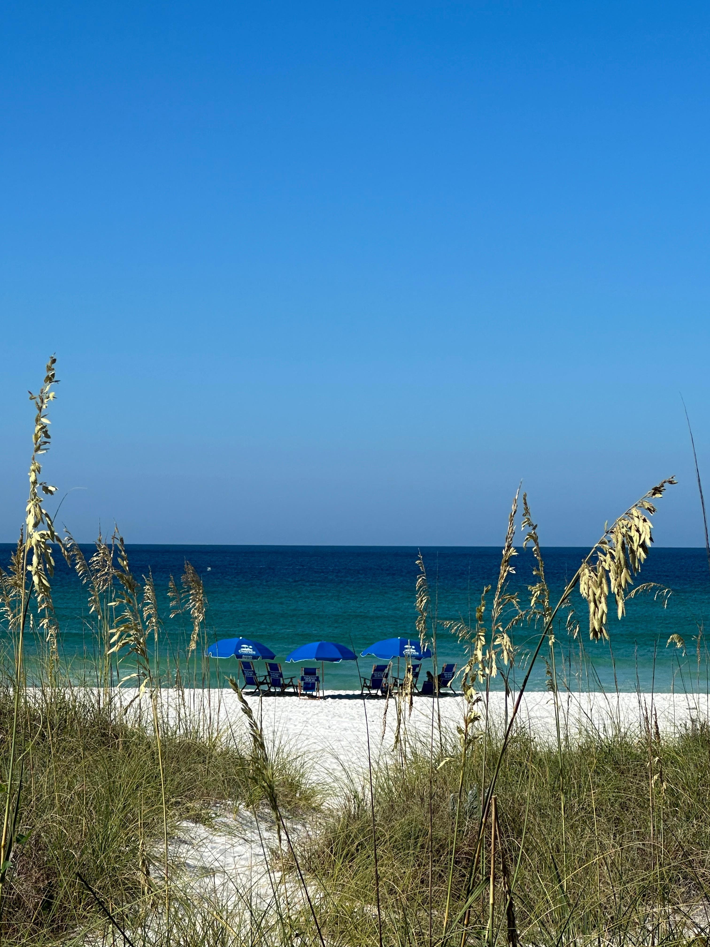 View from the back courtyard/ pool area.