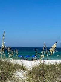 View from the back courtyard/ pool area.