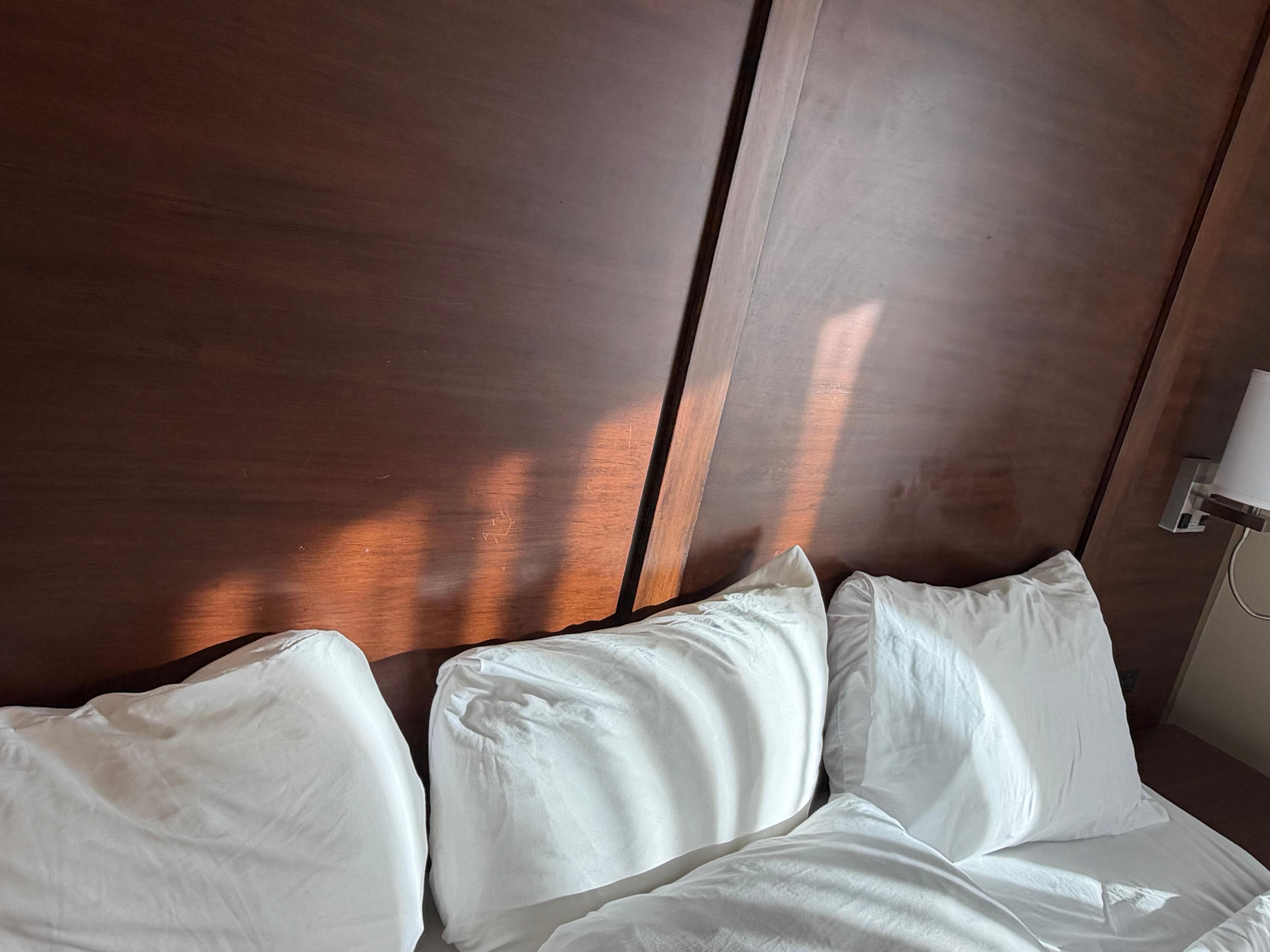 Greasy headboard. Only visible once the sun came up. One of the many issues with hotel cleanliness. 