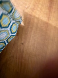 I wish I could upload the videos i have you would throw up in your mouth