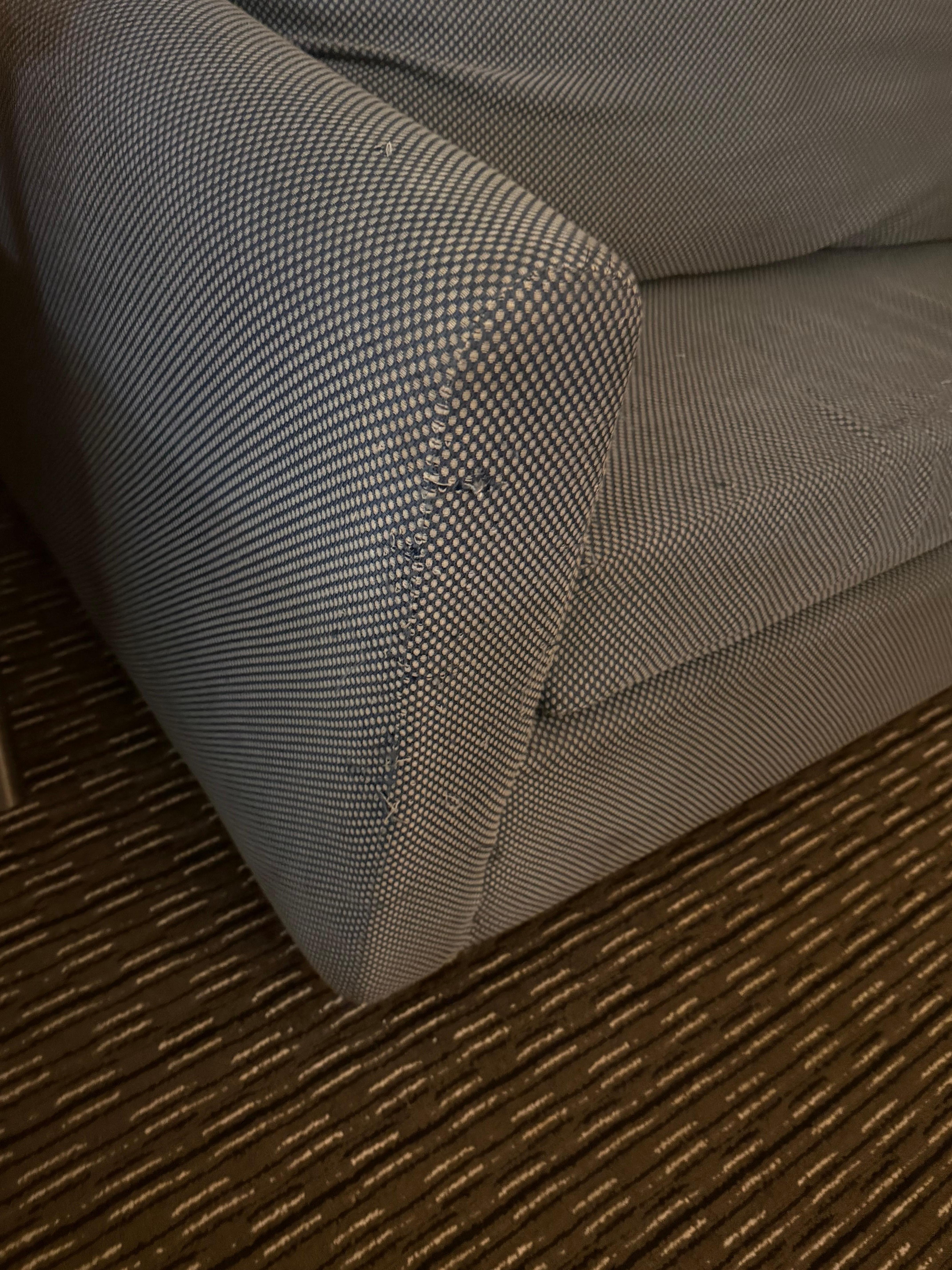 Stained, dirty and clawed or chewed by a dog 