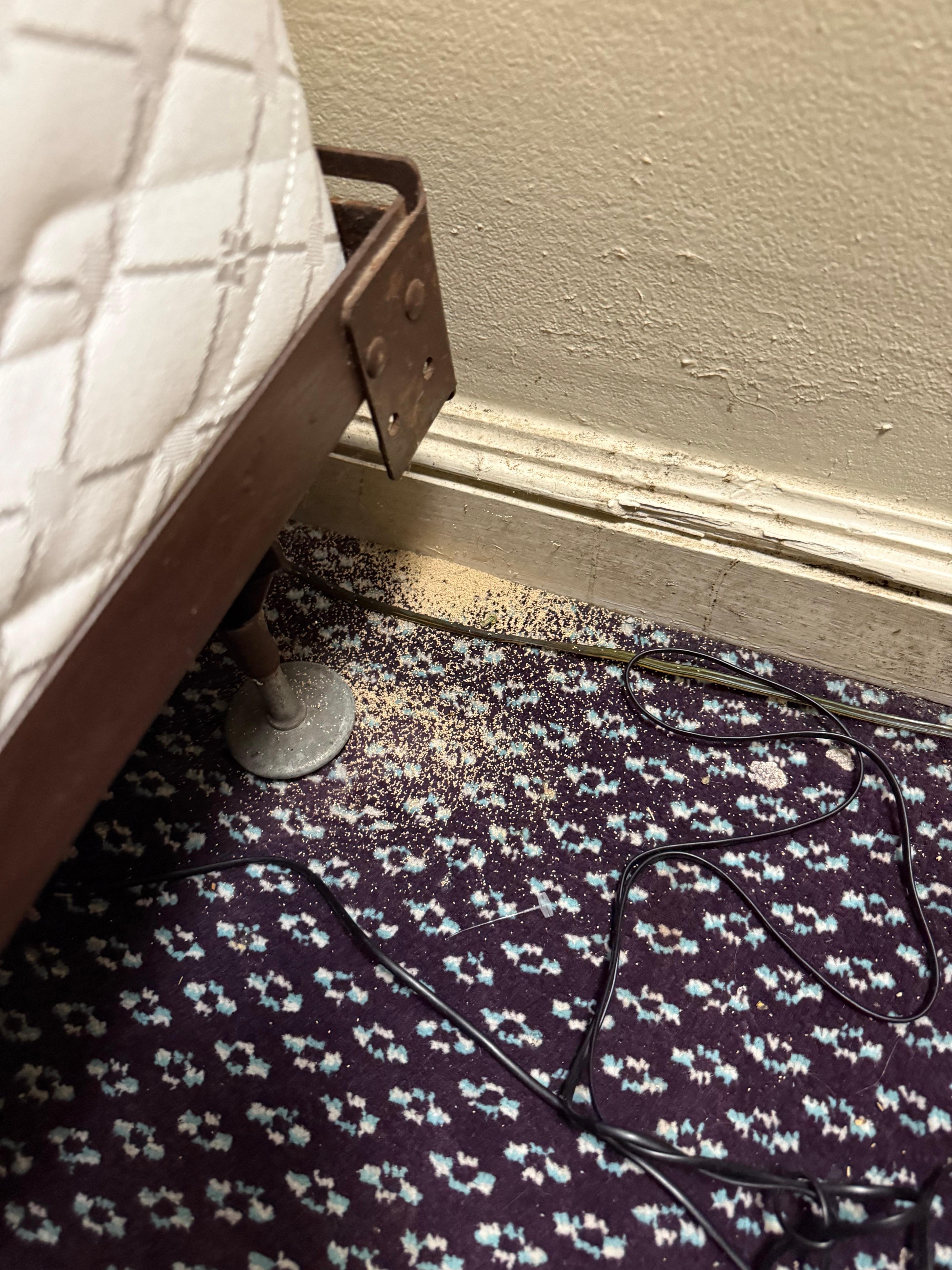 Plain view of the head of the bed at the wall- pile of something in the carpet