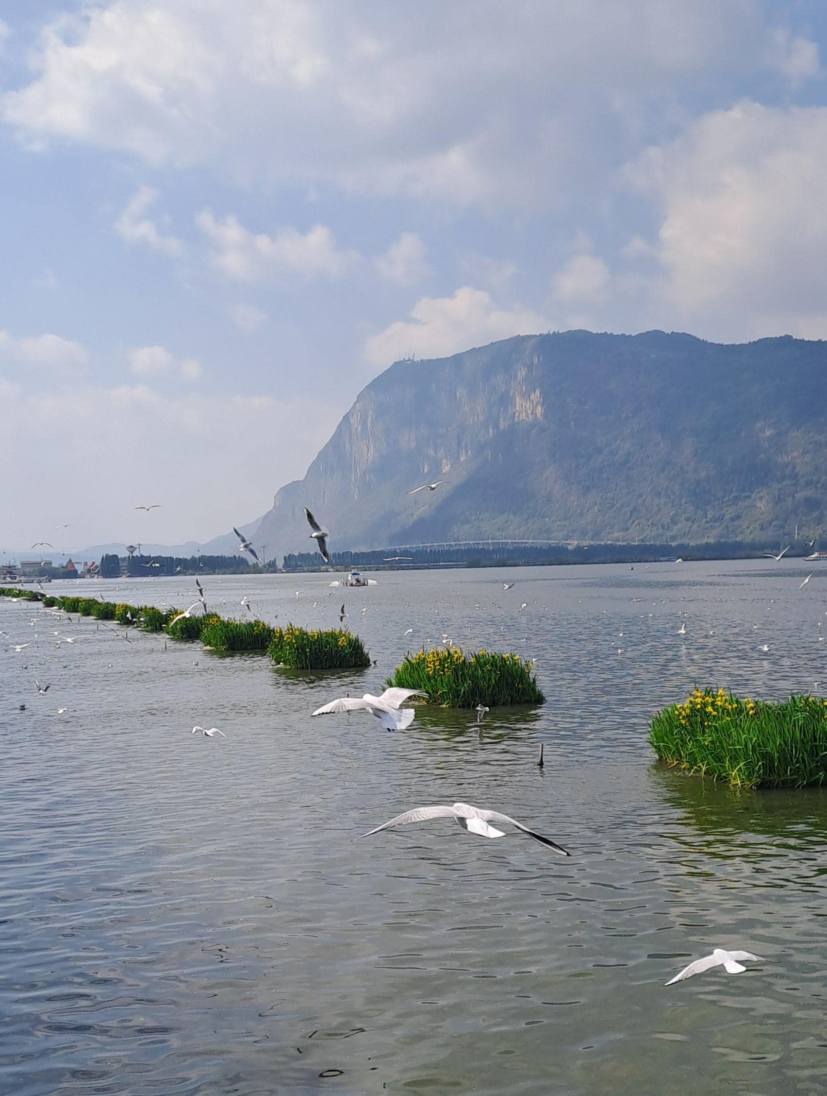 酒店附近就是滇池的海埂大壩