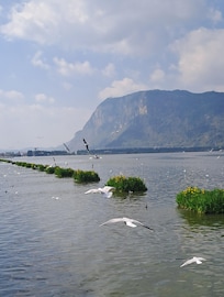 酒店附近就是滇池的海埂大壩
