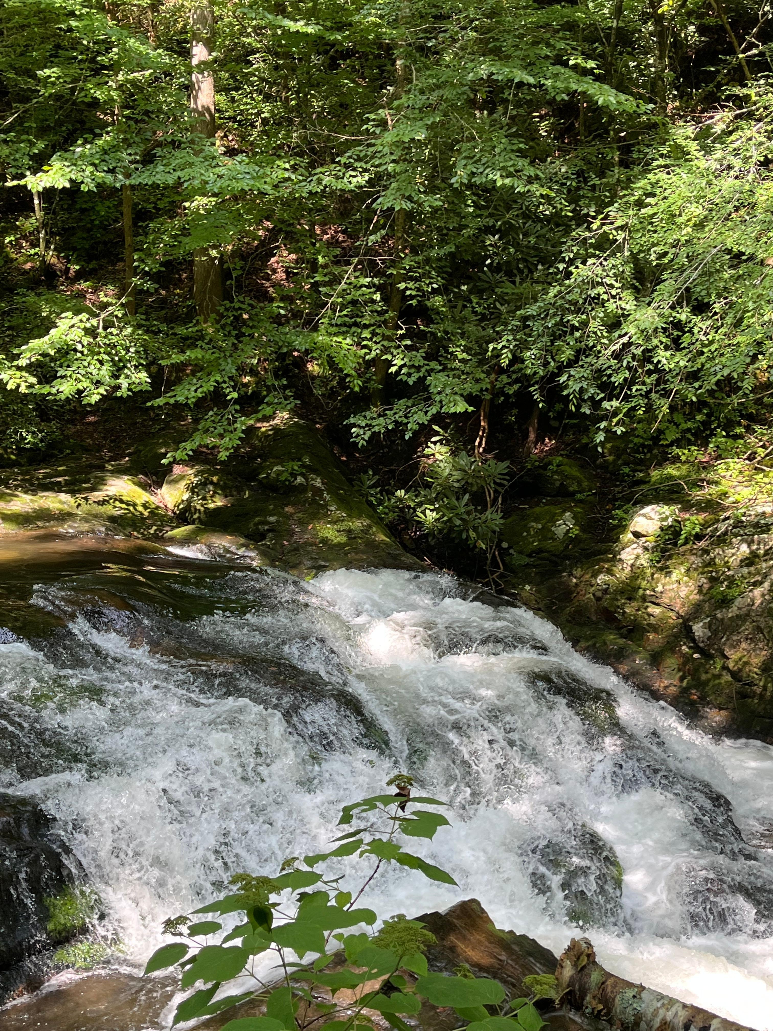 Smokey Mountains National Park.