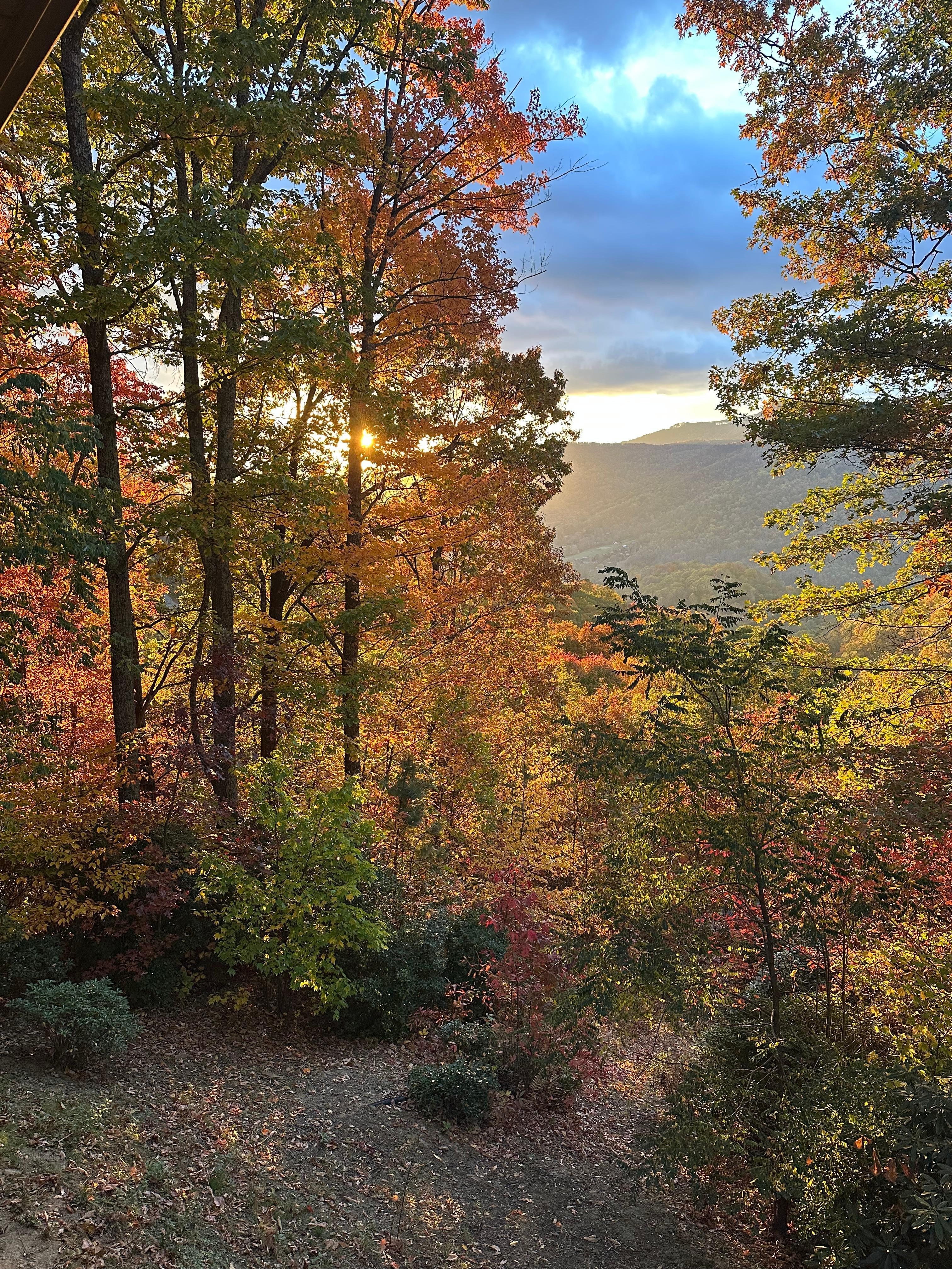 Day, one from the deck view 