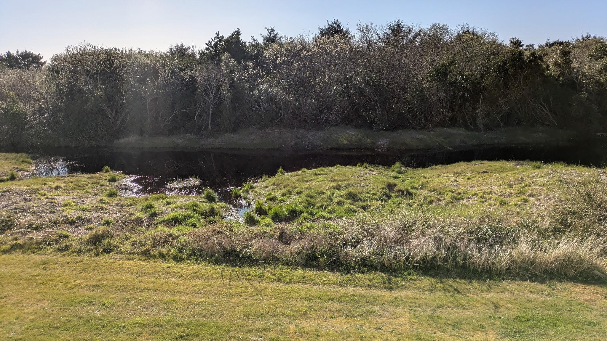 This was our view of beach and dunegrass.