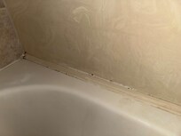 MORE mold
