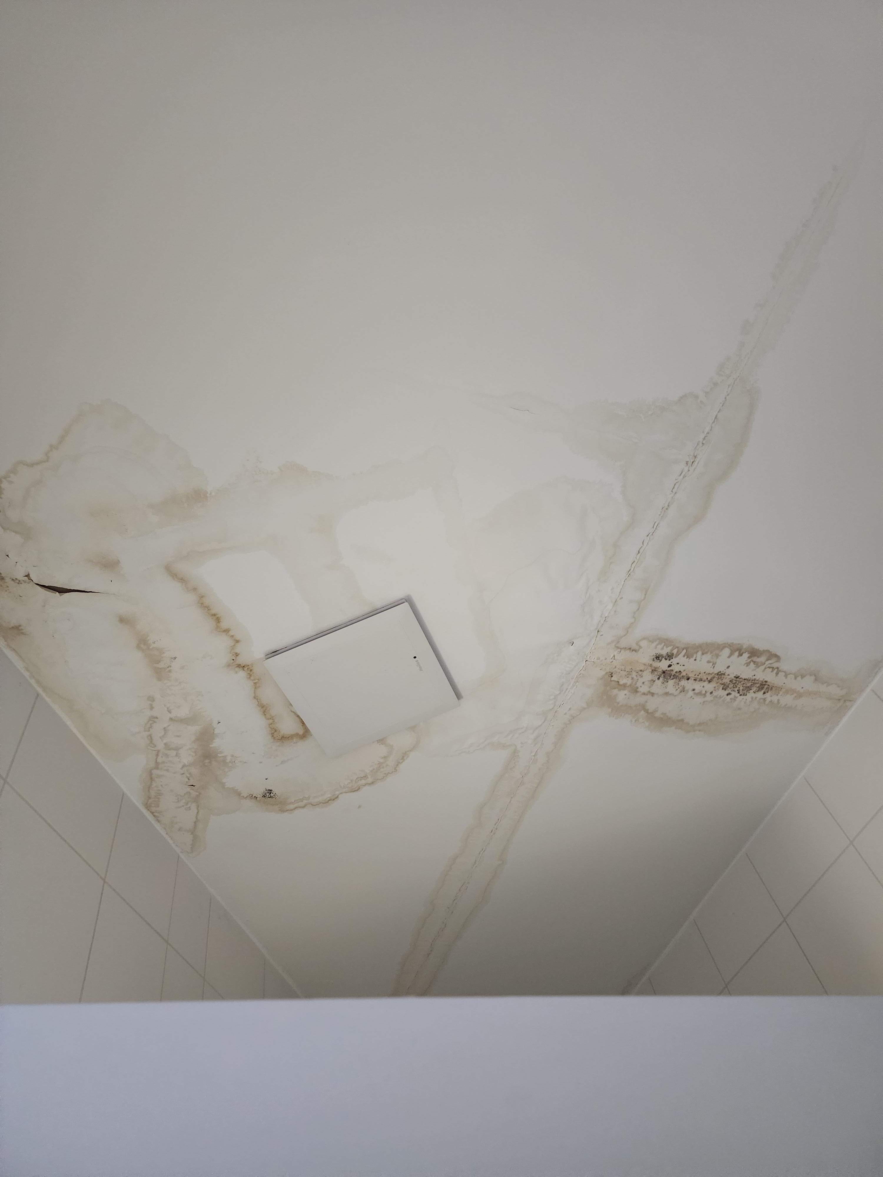 Water damage in the ceiling of the bathroom