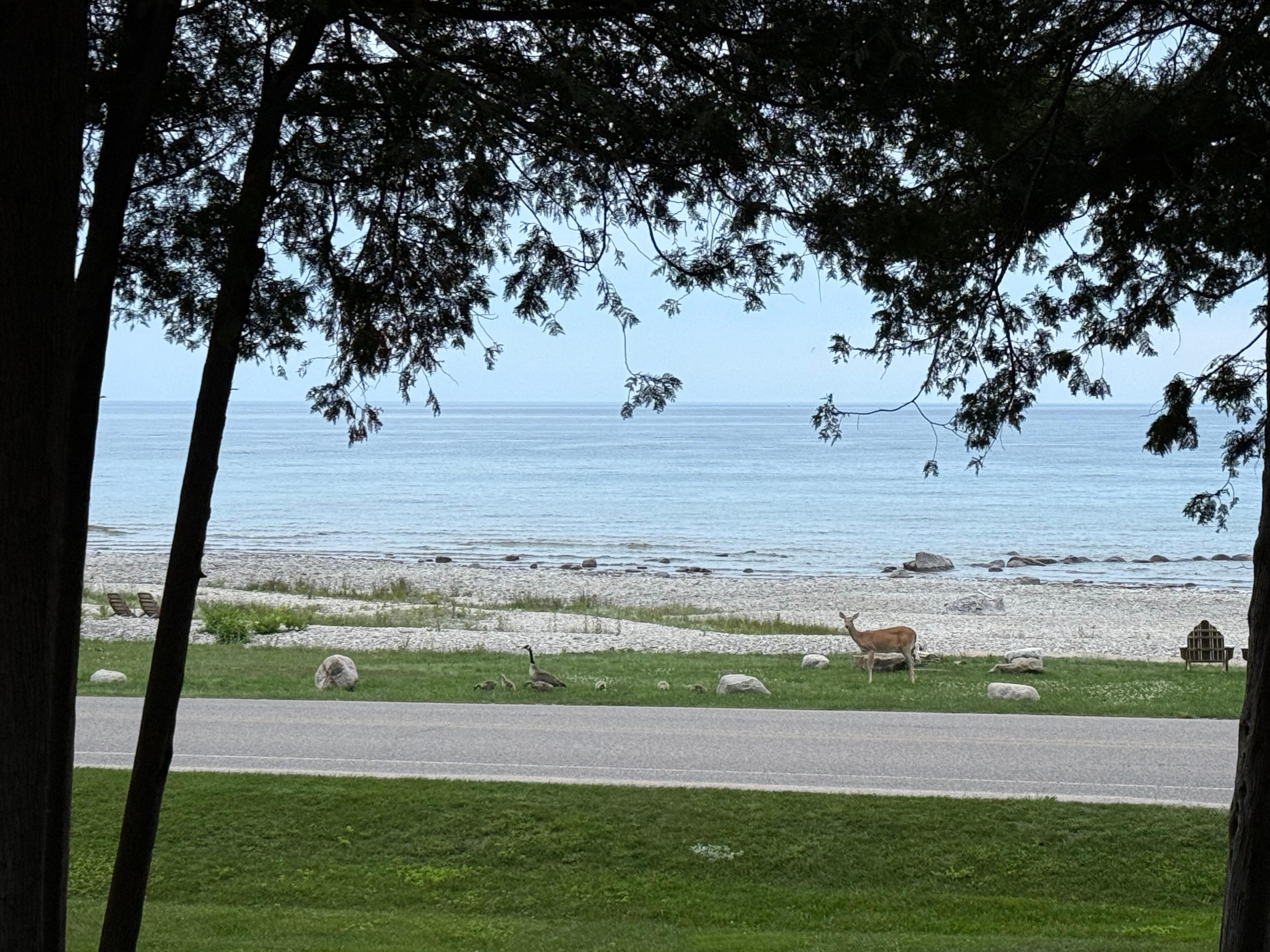 View from front window