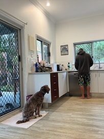 Watching dad prepare dinner