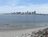 Seattle from Love Lock Fence