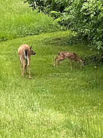 These two spent the entire week with us!
