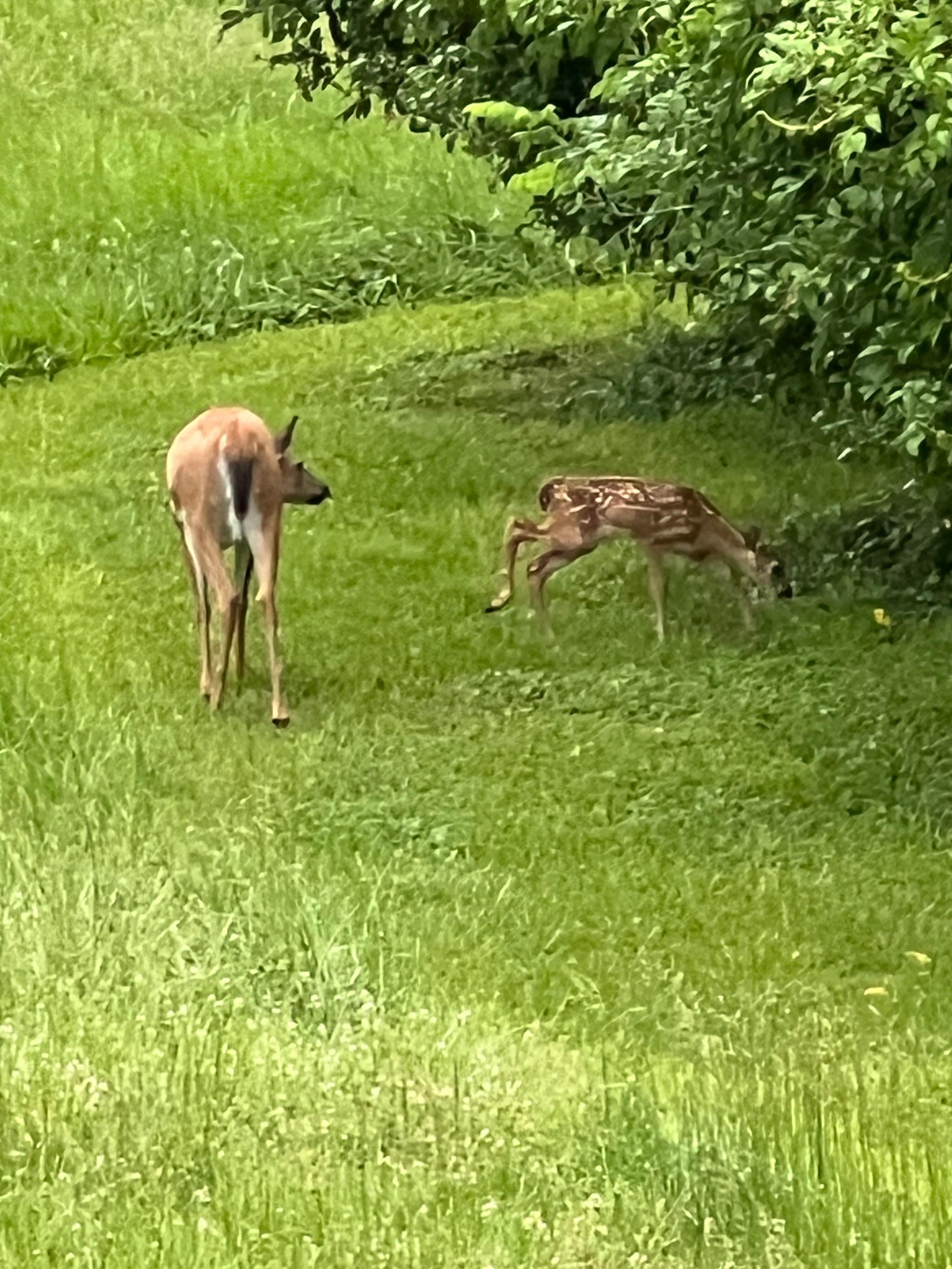 These two spent the entire week with us!
