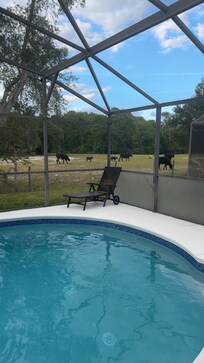 The view from the pool & the sliding glass door.