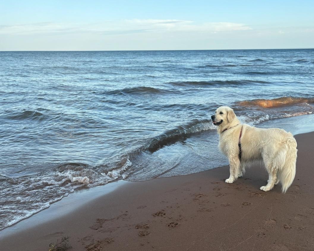 Sammie at the beach.  :)