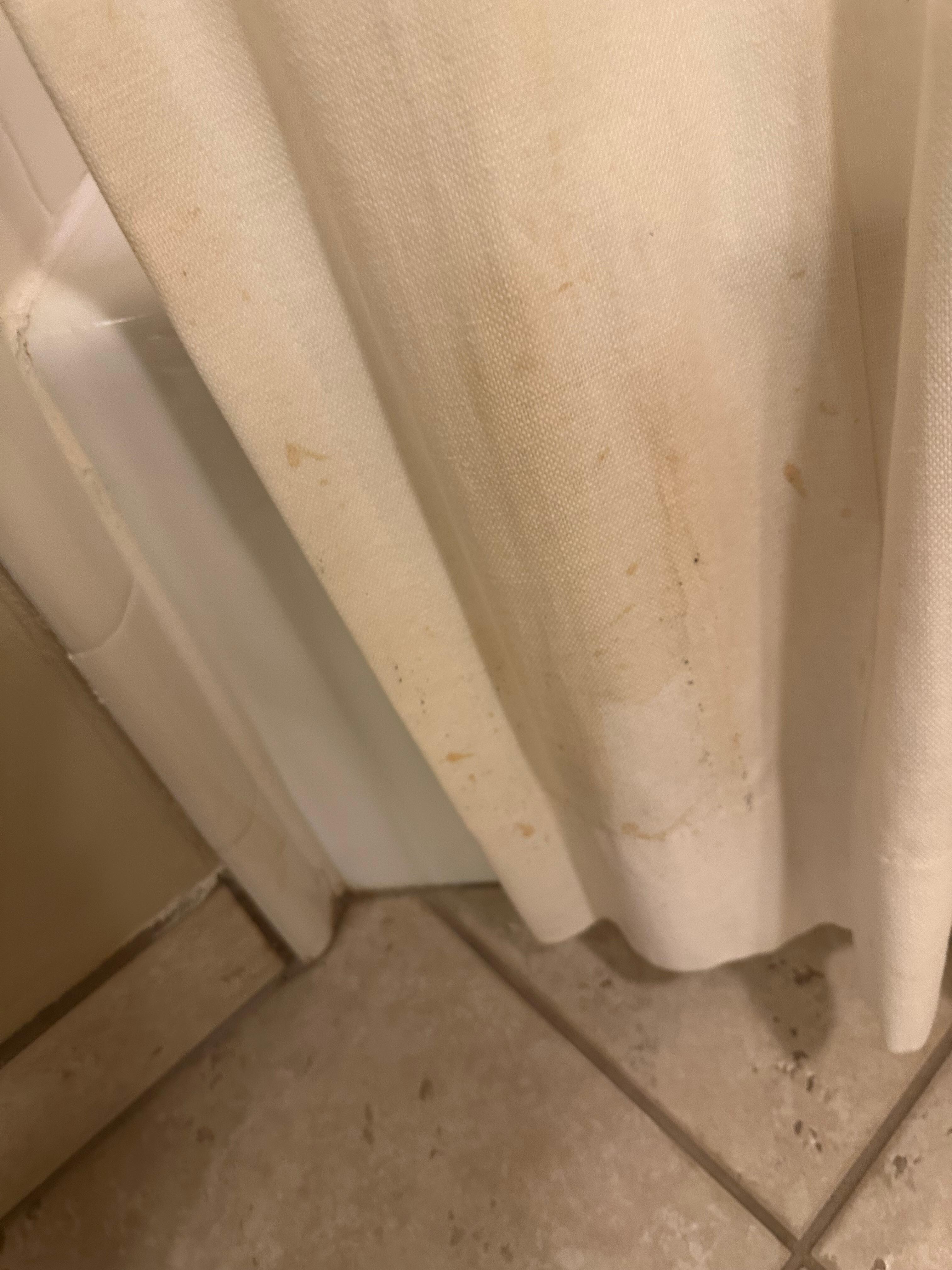 Same shower curtain