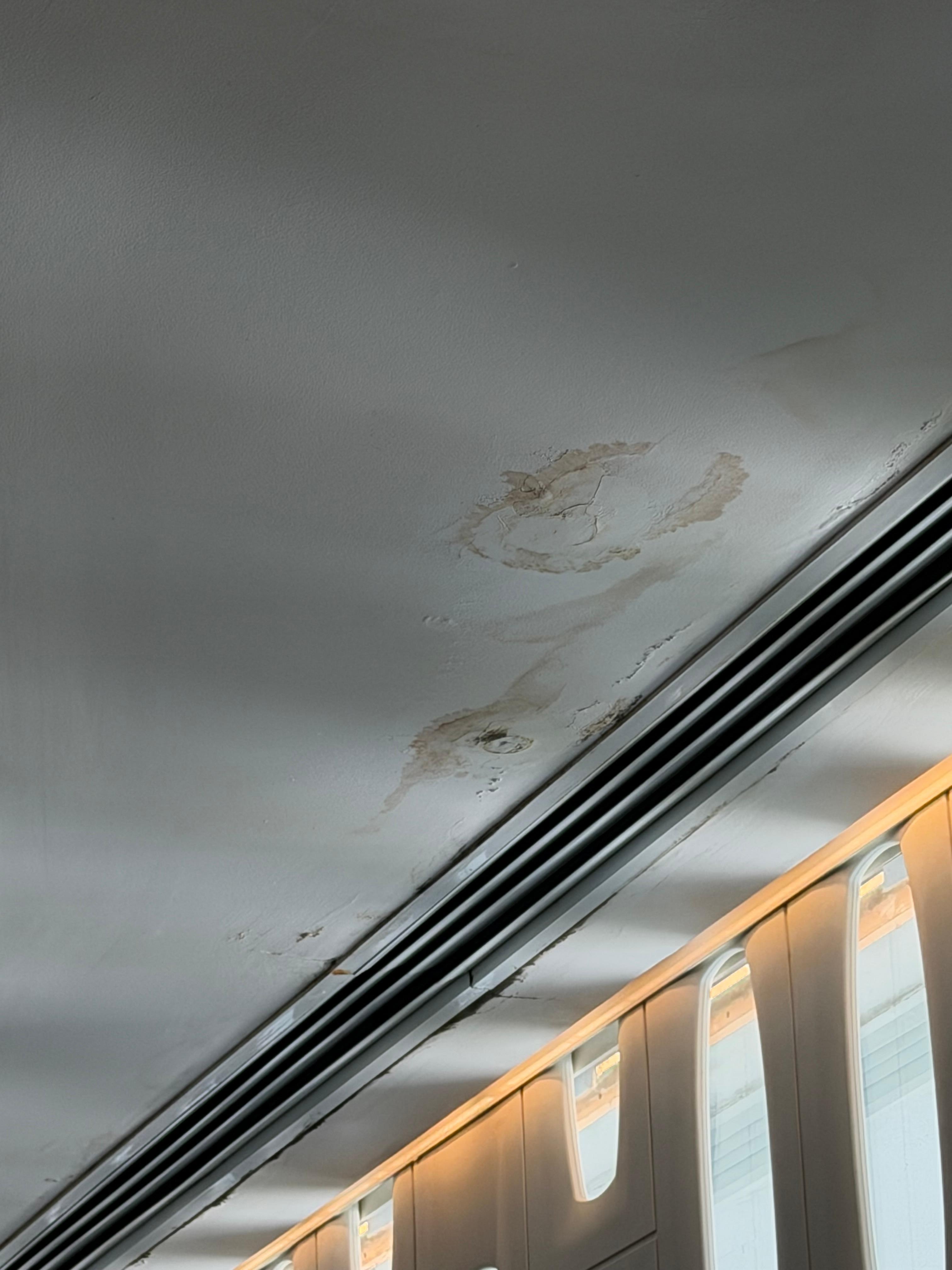 Todo o hall , recepção , rooftop estão assim com cheiro de mofo