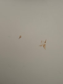 Dust