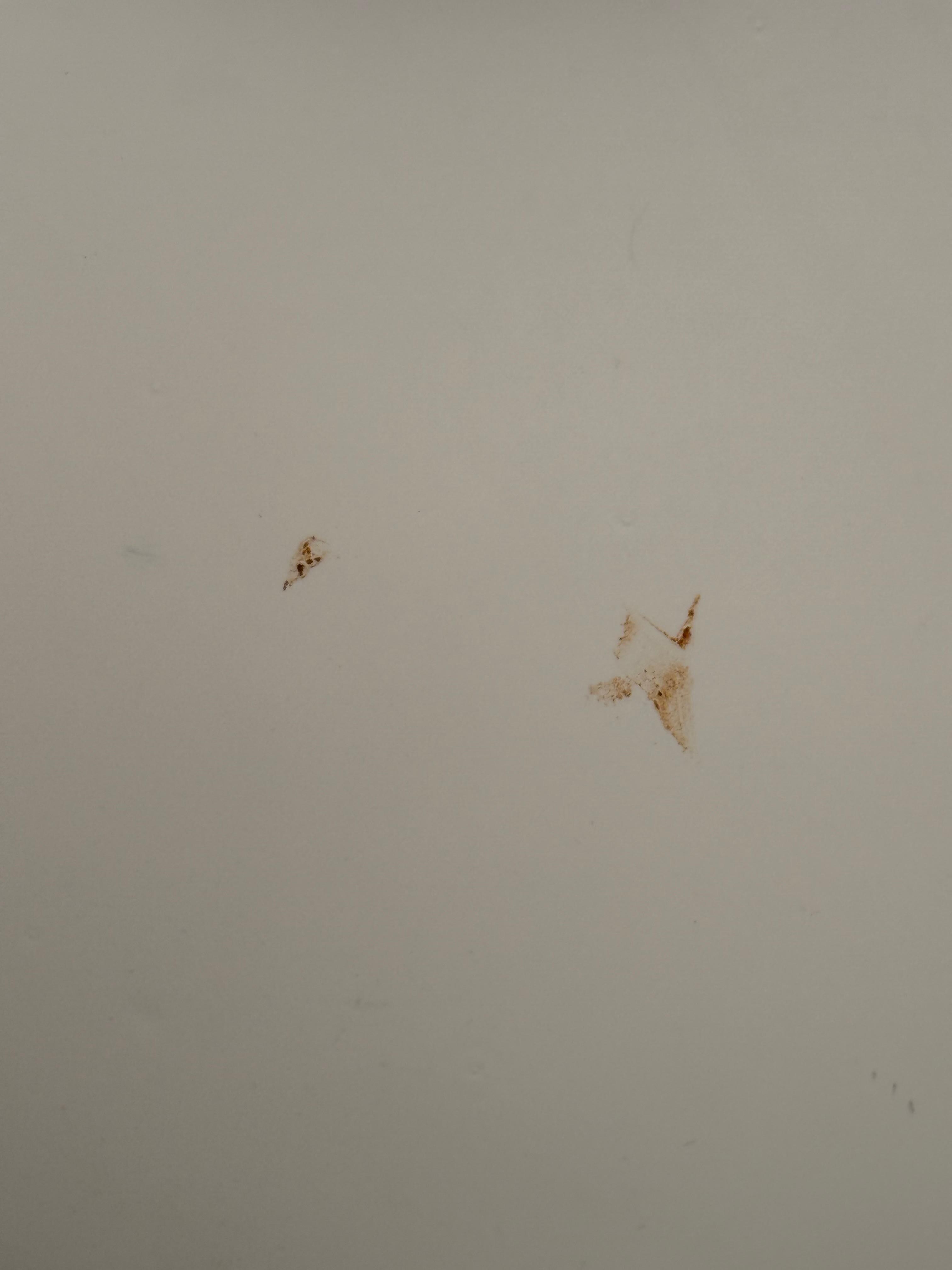 Dust