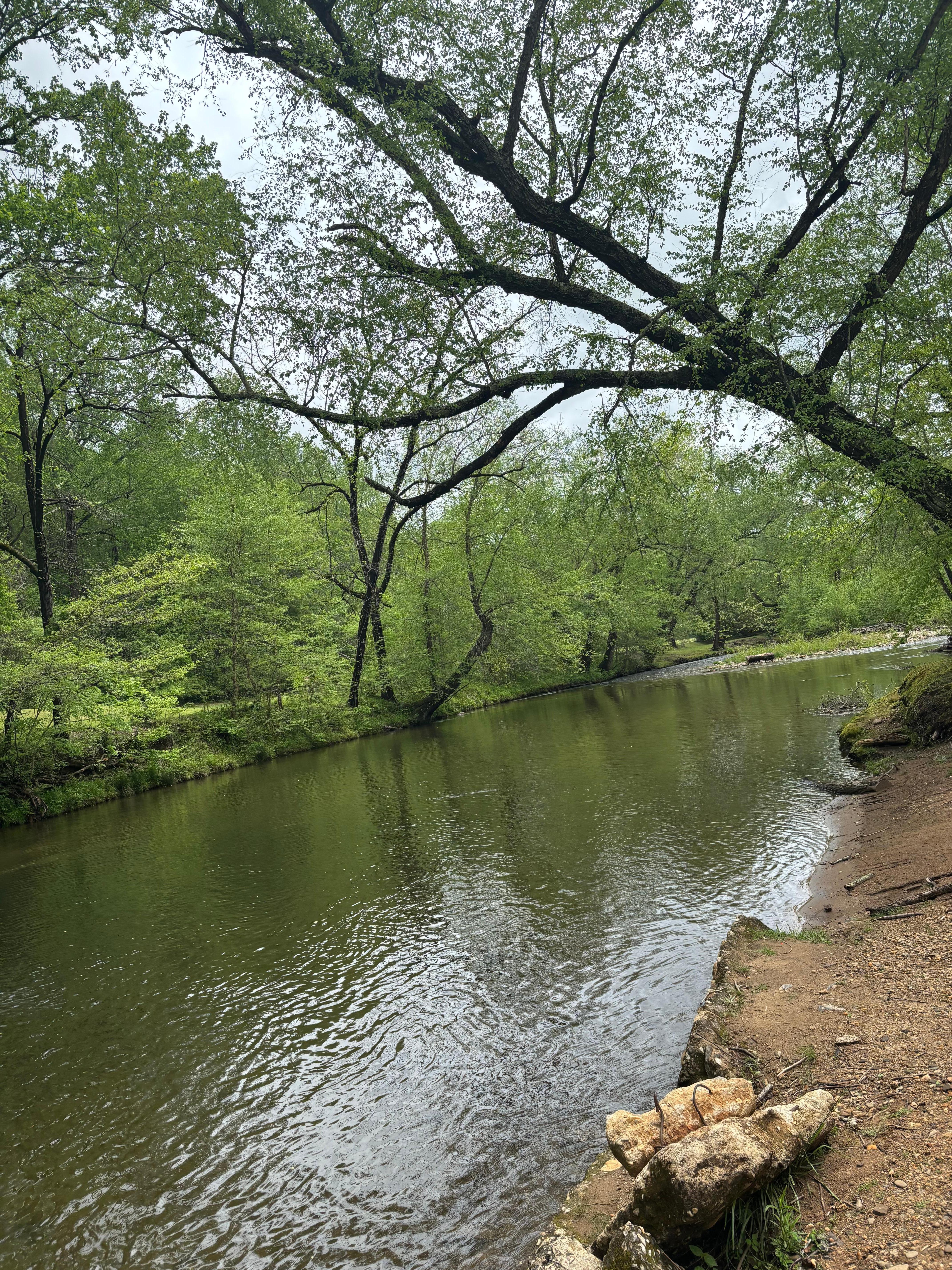 Beautiful view of river