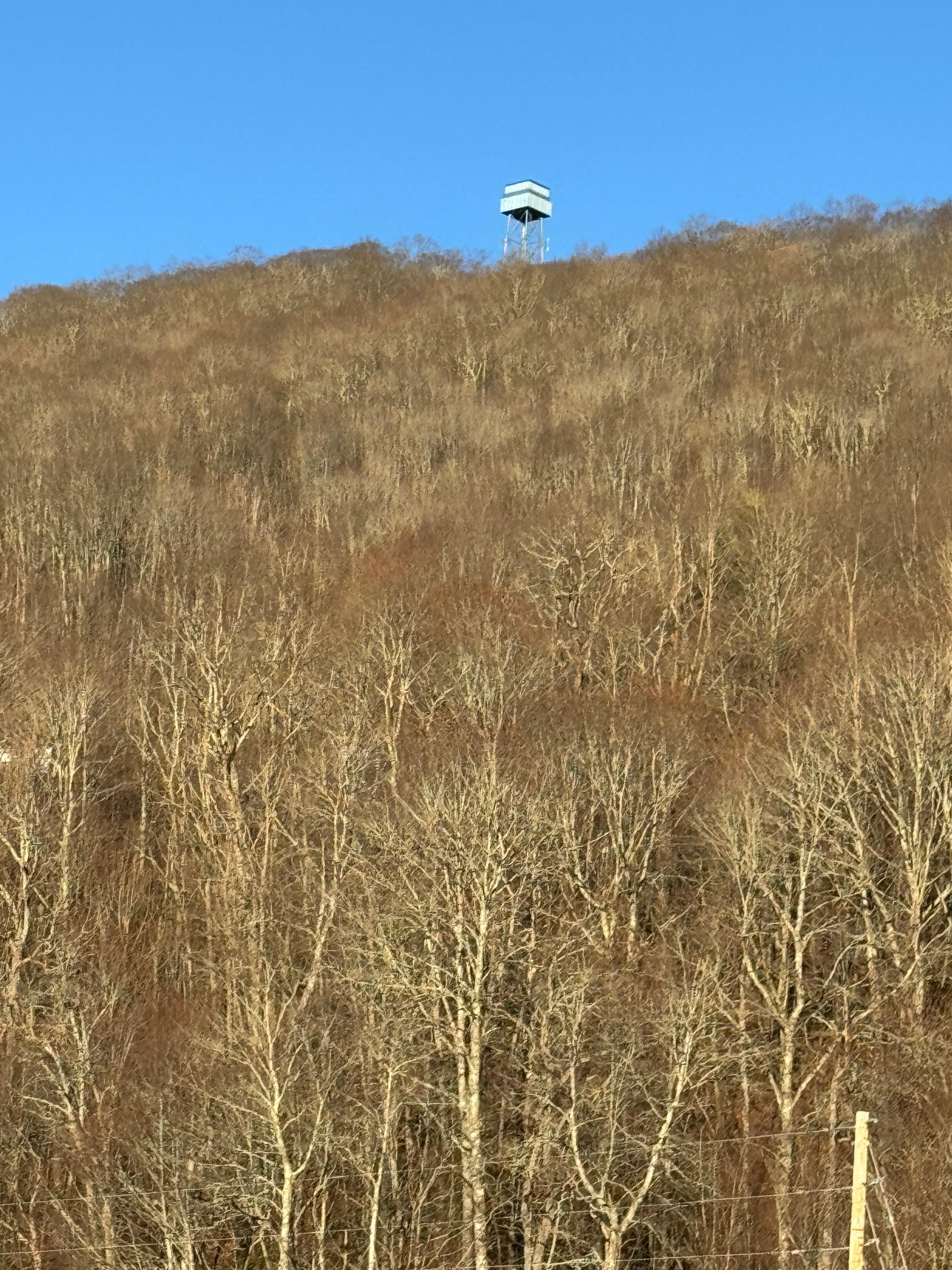 View also from front porch 