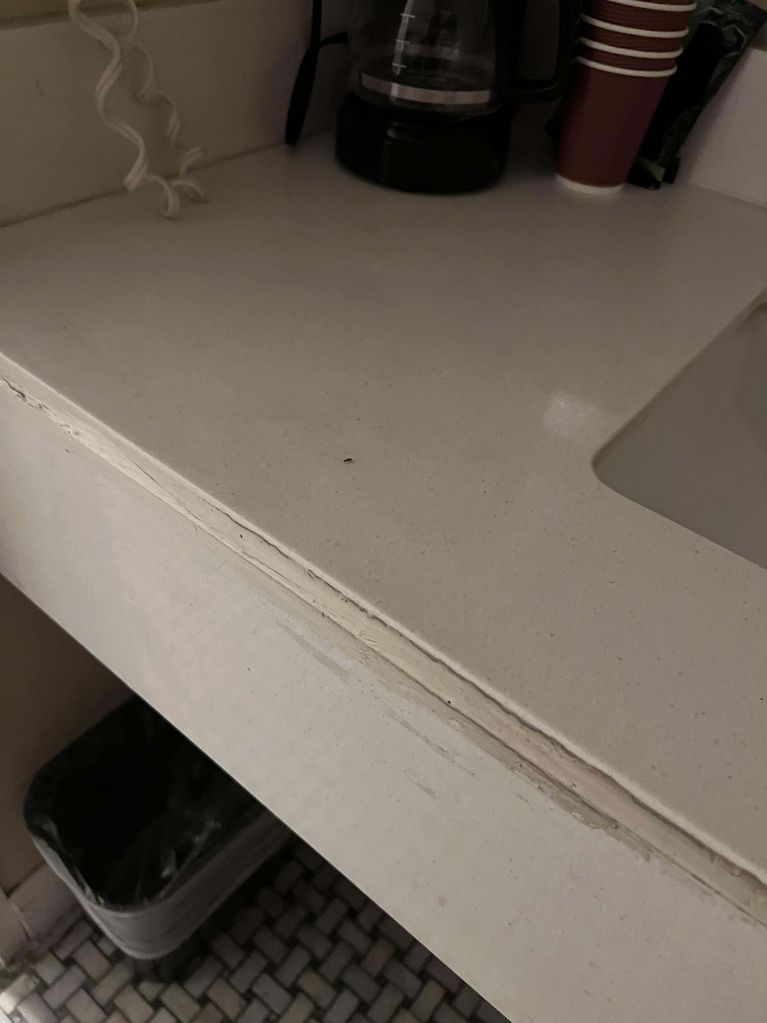 A small cockroach crawling on sink counter