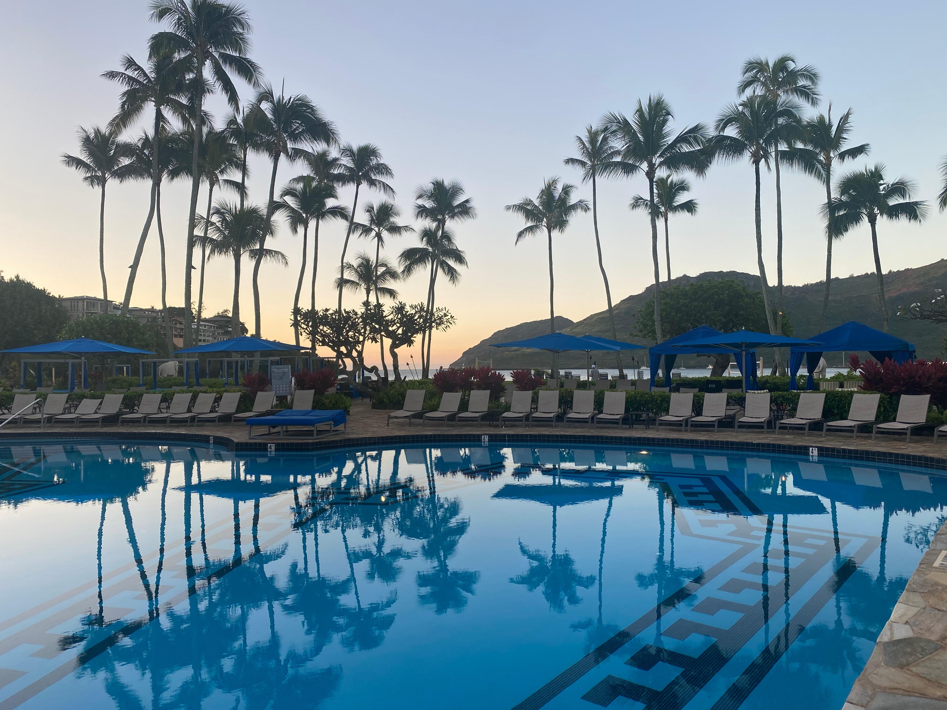 Reflection of palm trees was very relaxing