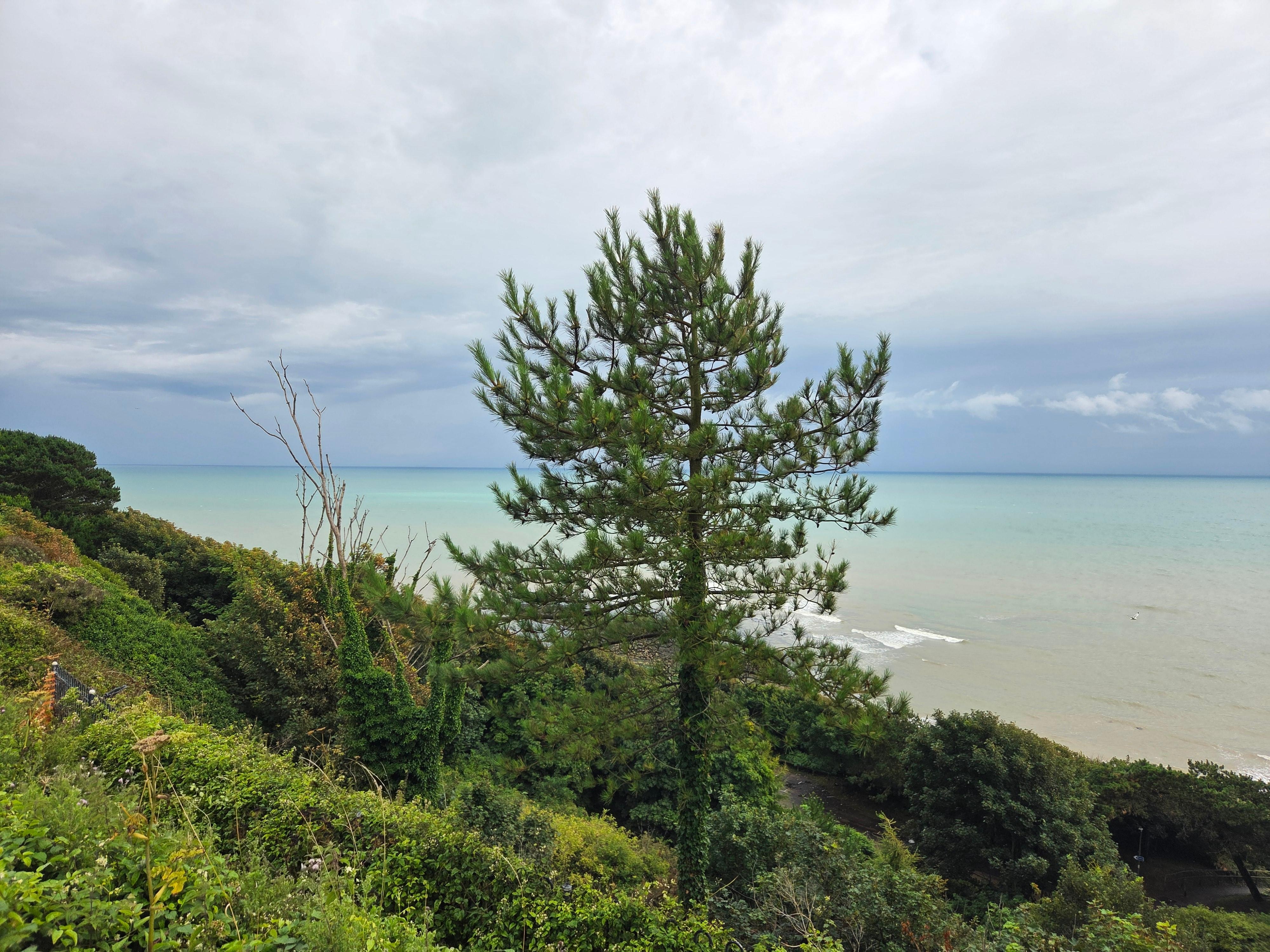 A minute walk from the hotels front doors.